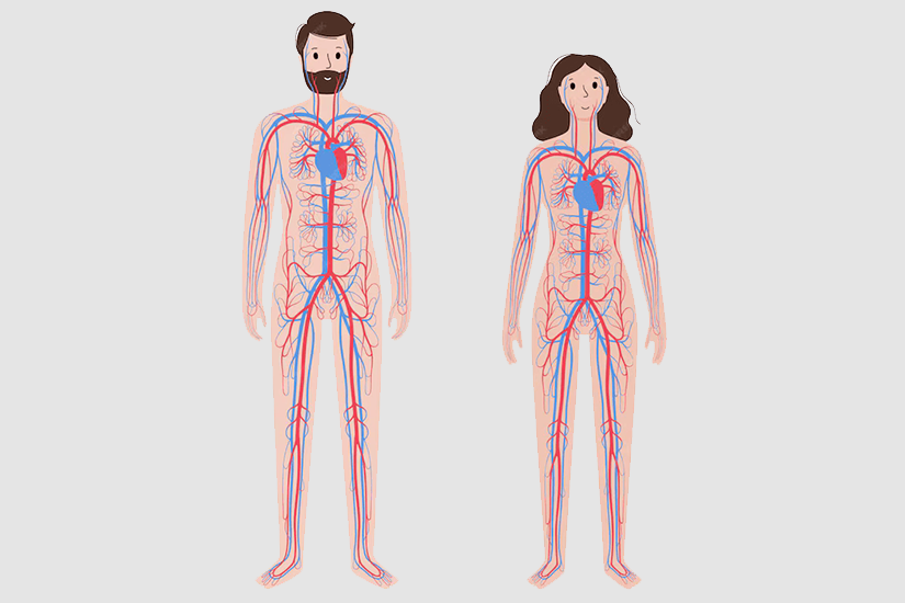 Sex Knowledge/Common Sexual Terms